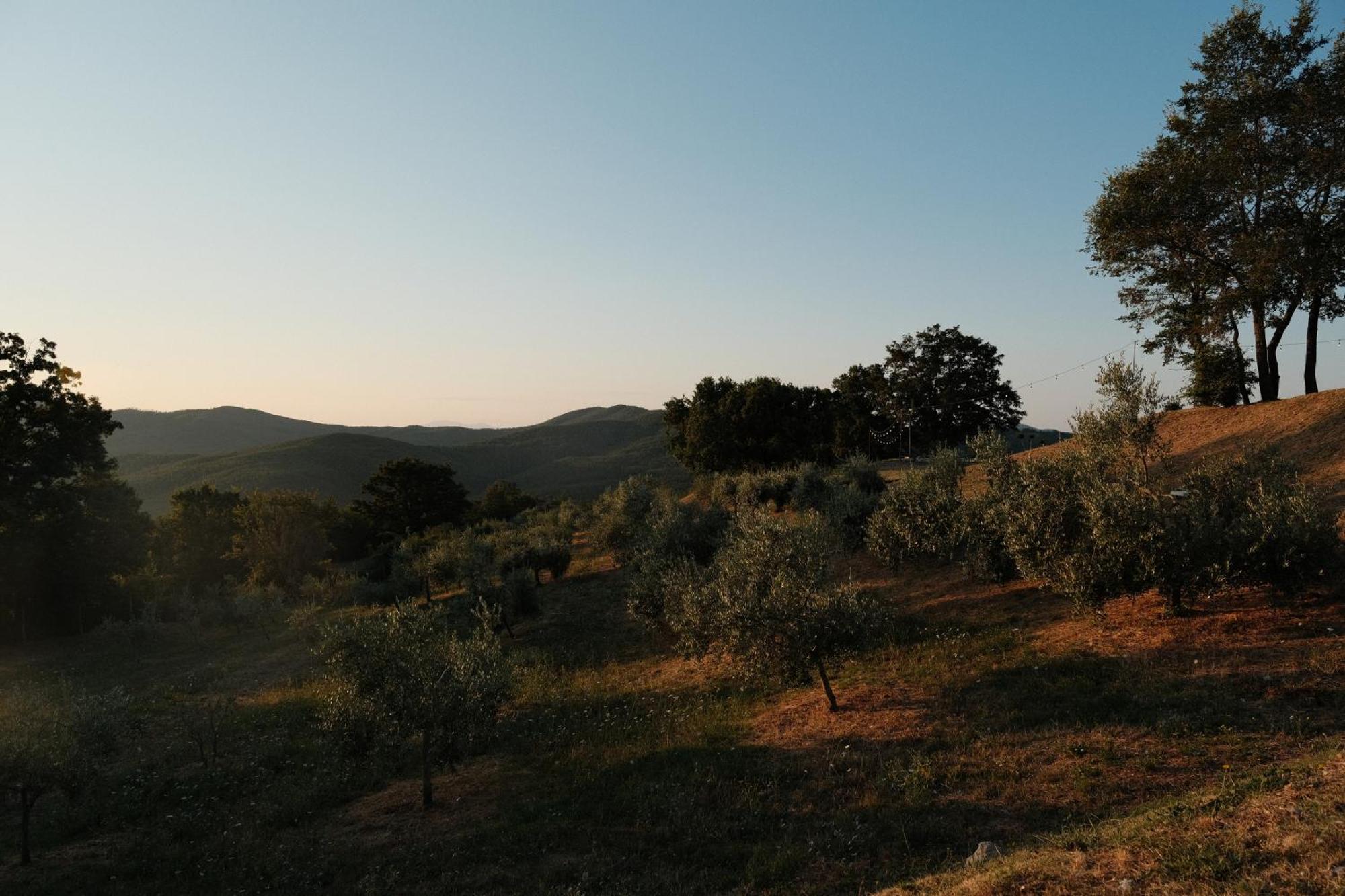 Vin Hotel - Wine Resort And Agriturismo Montieri Εξωτερικό φωτογραφία